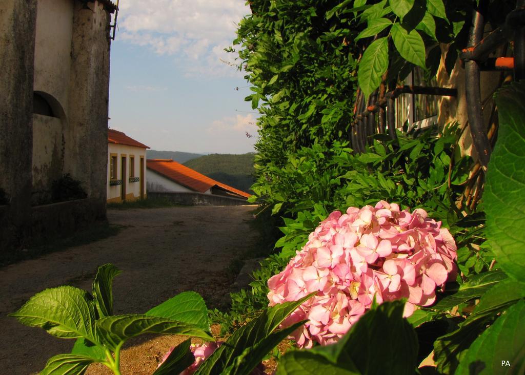 Вилла Quinta Do Cerquito Феррейра-ду-Зезери Экстерьер фото