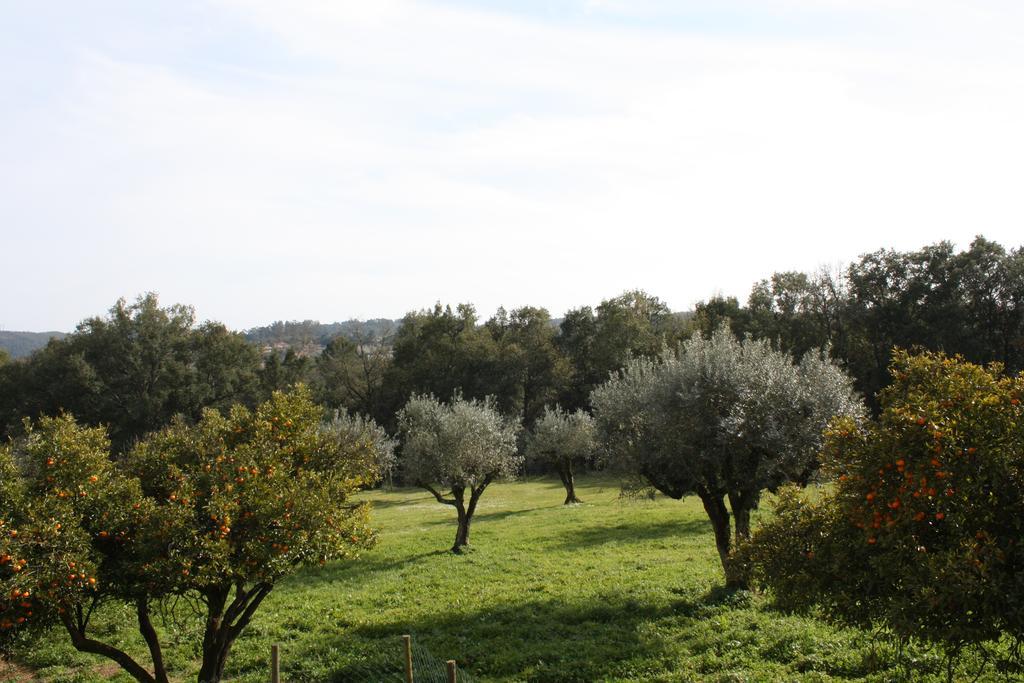Вилла Quinta Do Cerquito Феррейра-ду-Зезери Экстерьер фото