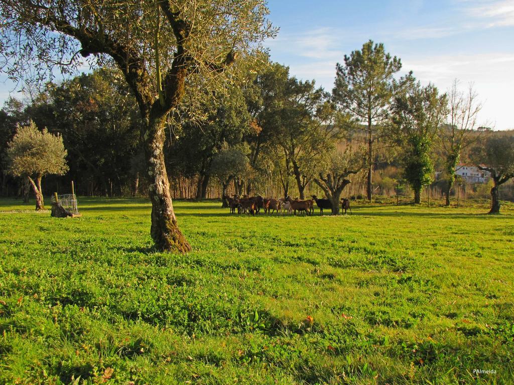 Вилла Quinta Do Cerquito Феррейра-ду-Зезери Экстерьер фото