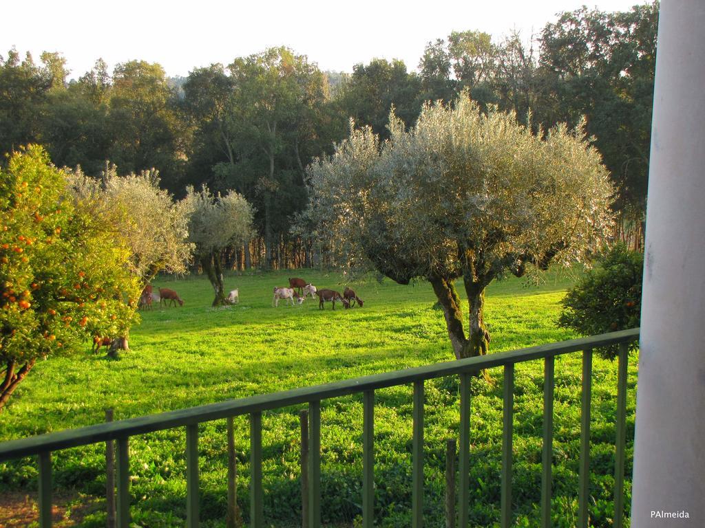 Вилла Quinta Do Cerquito Феррейра-ду-Зезери Экстерьер фото